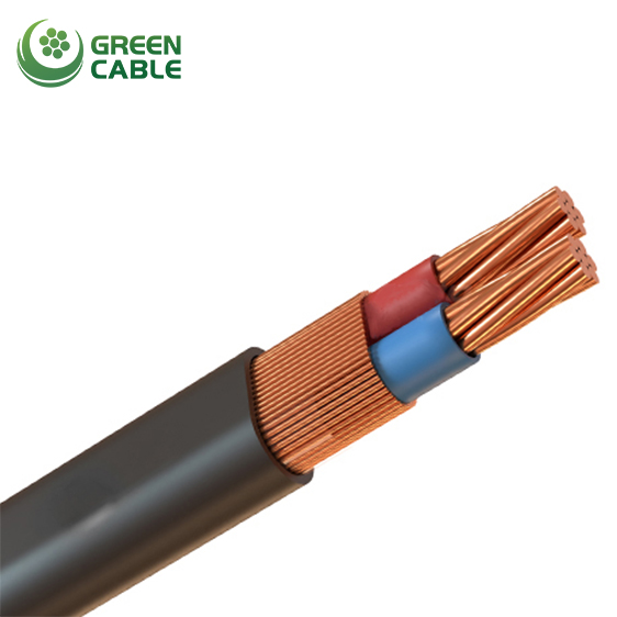 Concentric Cable - Dominica Market Concentric Cable