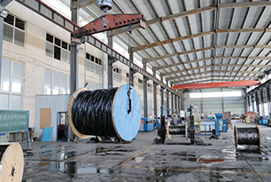 Riding the wind and waves, the scale is beginning to show